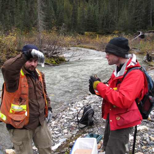 Water sampling along Silver Creek in 2011