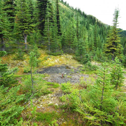 Historical drill collar on the Mt. Alcock property