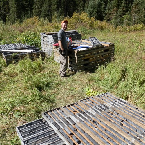 Relogging of historical Pie drill core