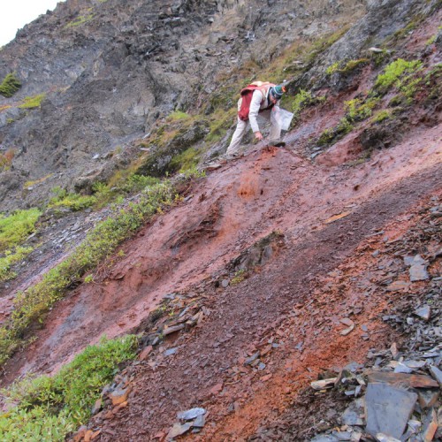 Prospecting and sampling of iron seeps on the historical Pelly property