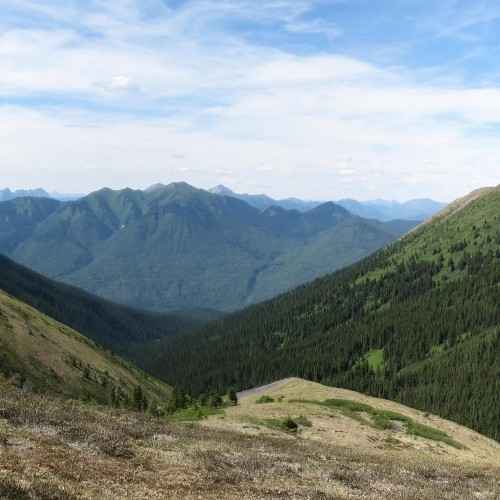 View from the Yuen North property looking northwest towards the Mt. Alcock property.